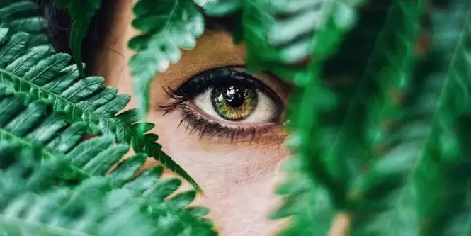 Vision and recovery charges